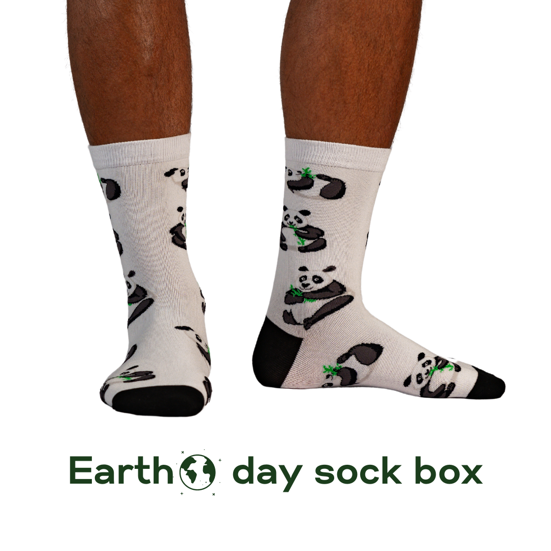 Earth Day Sock Box